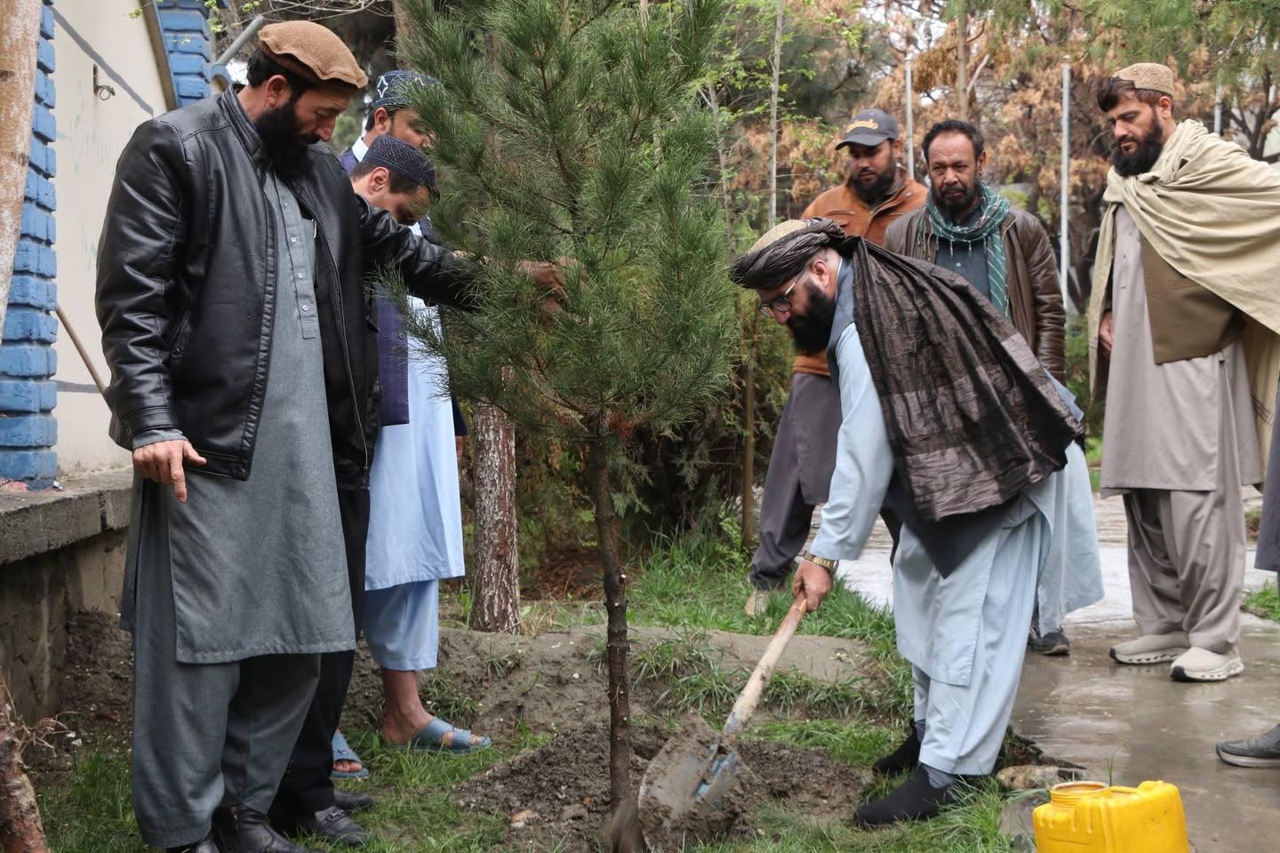 کابل؛ د ورزش ادارې په انګړ کې د نيالګيو کېنولو ملي کمپاین پيل شو