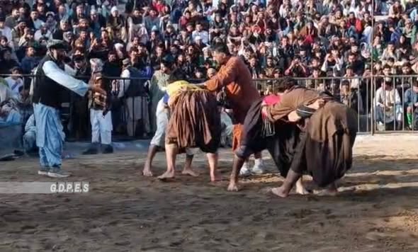 مسابقات کشتی محلی میان ۱۰۶ ورزشکار در ولسوالی پشتون زرغون ولایت هرات برگزار شد