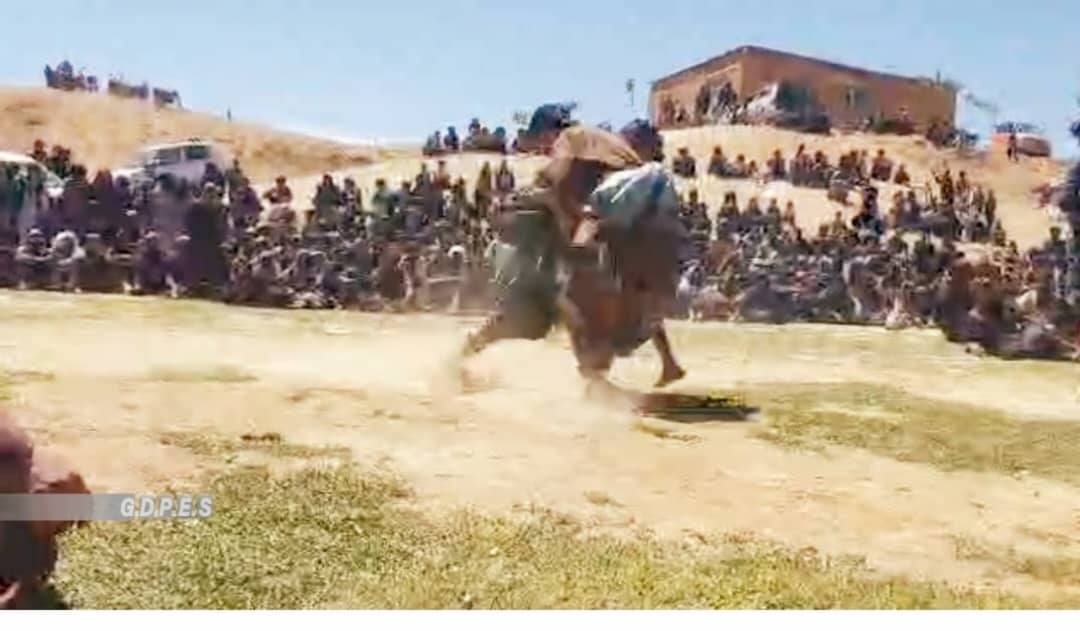 زابل؛ خاک افغان ولسوالۍ کې د ۱۰۰ غېږنيونکو ترمنځ سيالۍ وشوې