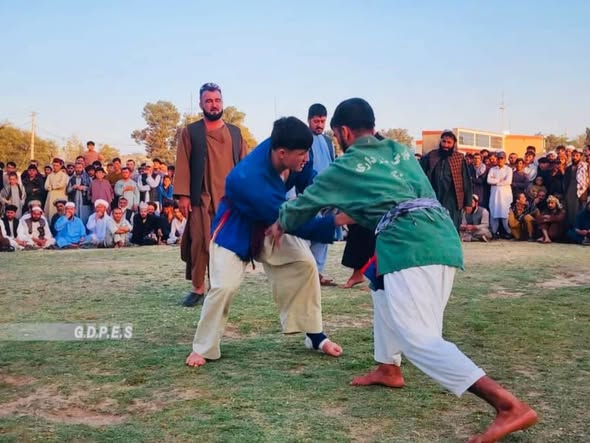 جوزجان؛ مرکز شبرغان کې د ۹۰ کورشکارانو ترمنځ د کورش سيمه ييزې سيالۍ وشوې