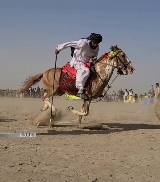 د غزني مرکز کې د ۴۳ لوبډلو ترمنځ د نېزه وهنې سيالۍ وشوې