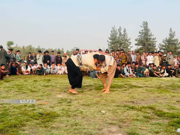 تخار؛ برگزاری رقابت های کشتی محلی با اشتراک ۸۰ تن در تالقان